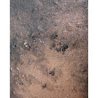 Na Glinianych Nogach 50x50 cm