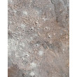 Pył na wietrze I 30x40 cm