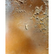 Mlekiem i Miodem I 2x30x80 cm I dyptyk