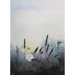 Łąka -  akwarela formatu 32/24 cm