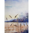 Łąka -  akwarela formatu 32/24 cm