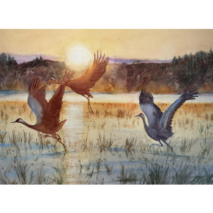 Żurawie (50x70 cm), Krystyna Nowak, obrazy akwarela