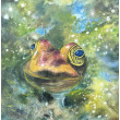 Książę (50x50 cm)