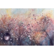 Rosa (50x70 cm)