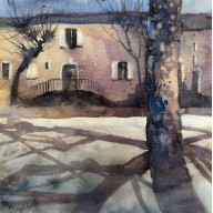 Platan (25x25 cm)