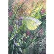 Lato (40x50 cm)