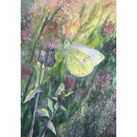 Lato (40x50 cm)