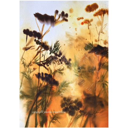 Słotności, Joanna Magdalena, obrazy akwarela