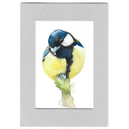 Sikora bogatka - akwarela z passe portout, Magdalena Malik, obrazy akwarela