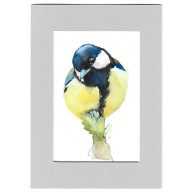 Sikora bogatka - akwarela z passe portout