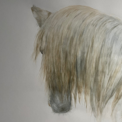 Maria Mandis - obrazy akwarela - Akwarela kon foto #2