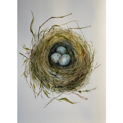 Cisza w gniezdzie, Maria Mandis, obrazy akwarela