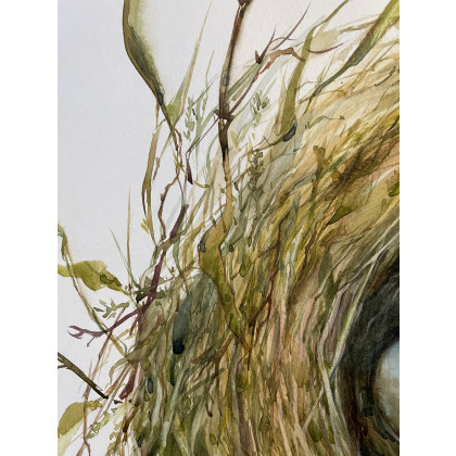 Maria Mandis - obrazy akwarela - Cisza w gniezdzie foto #3