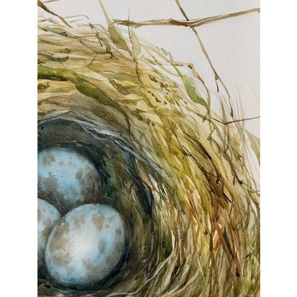 Maria Mandis - obrazy akwarela - Cisza w gniezdzie foto #4