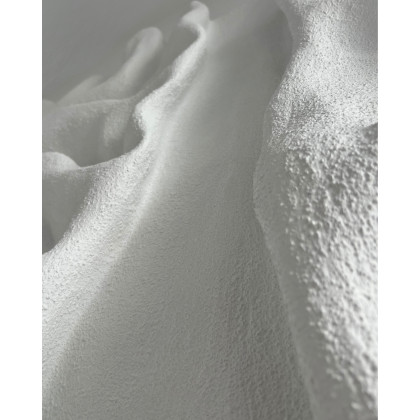 Piotr Żyłka - płaskorzeźba - Granda - rzeźba ścienna 3D foto #3