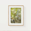 Akwarela A5. Trawy