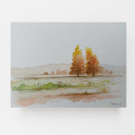 Drzewa- akwarela formatu 18/24 cm