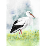 BOCIAN - AKWARELA