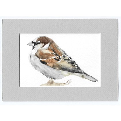 Wróbel - akwarela z passe portout, Magdalena Malik, obrazy akwarela