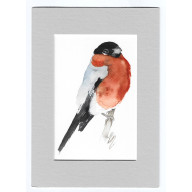 GIL - AKWARELA Z PASSE PORTOUT