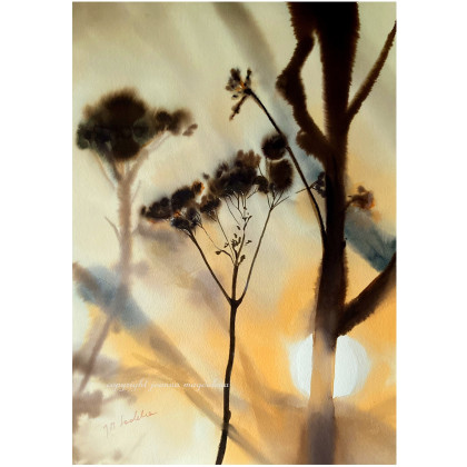 Powidoki, Joanna Magdalena, obrazy akwarela