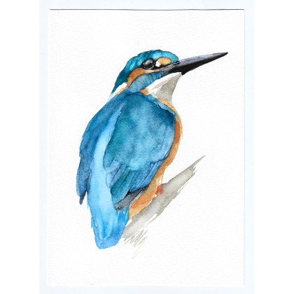 Zimorodek- obraz akwarelowy, Magdalena Malik, obrazy akwarela