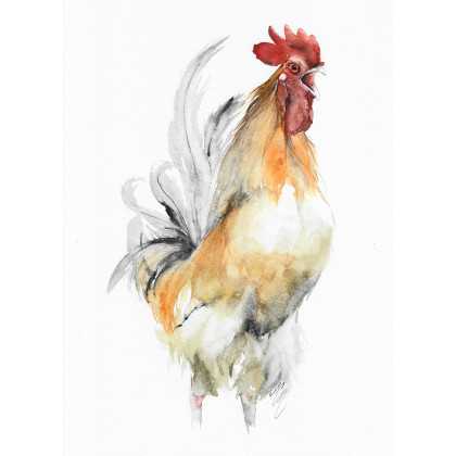 Kogut - obraz akwarelowy, Magdalena Malik, obrazy akwarela