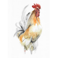 KOGUT - OBRAZ AKWARELOWY