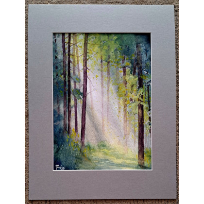 Jolanta Zdanowicz - obrazy akwarela - Leśny poranek foto #1