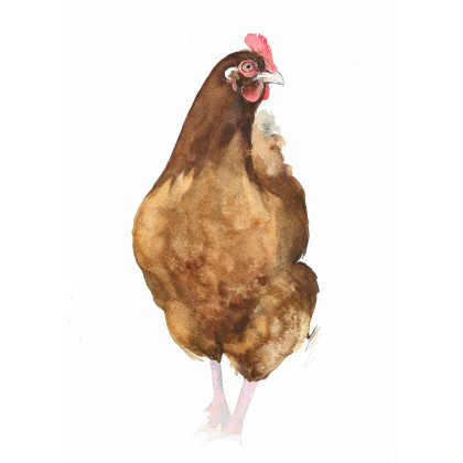 Kura - obraz akwarelowy, Magdalena Malik, obrazy akwarela