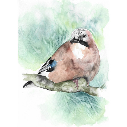 Sójka - obraz akwarelowy, Magdalena Malik, obrazy akwarela