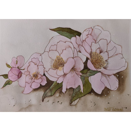 Beata Rudecka - obrazy akwarela - Akwarela Akwarelka Obraz pt: Peonie foto #1