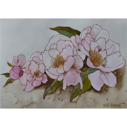 Beata Rudecka - obrazy akwarela - Akwarela Akwarelka Obraz pt: Peonie foto #2