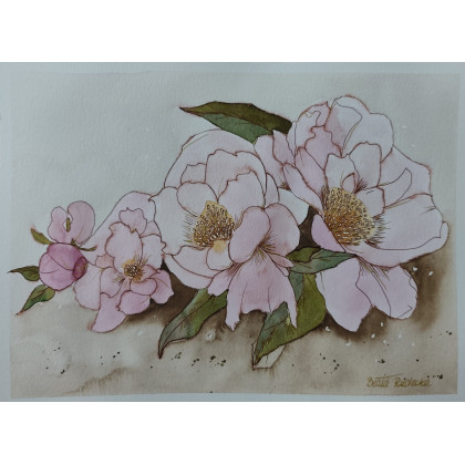 Beata Rudecka - obrazy akwarela - Akwarela Akwarelka Obraz pt: Peonie foto #4