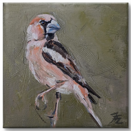 Grubodziub - cykl Ptaki, Justyna Zielonka, obrazy olejne