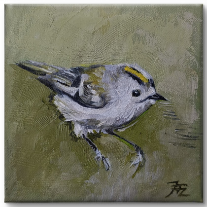 Mysikrólik - cykl Ptaki, Justyna Zielonka, obrazy olejne