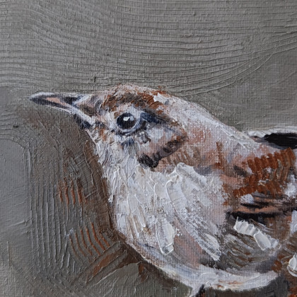 Justyna Zielonka - obrazy olejne - Strzyżyk  - cykl Ptaki foto #4