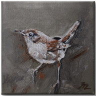 Strzyżyk  - cykl Ptaki