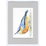 KOWALIK- AKWARELA Z PASSE PORTOUT