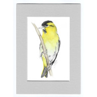 CZYŻYK - AKWARELA Z PASSE PORTOUT