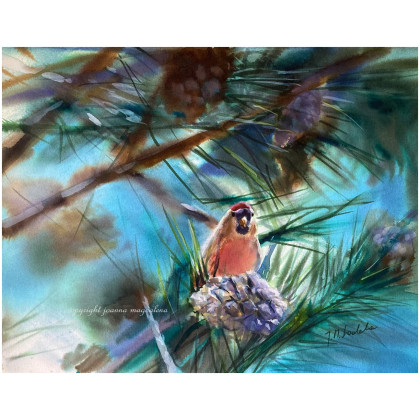 Codzienność, Joanna Magdalena, obrazy akwarela