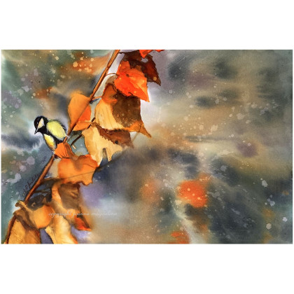 Zmienność, Joanna Magdalena, obrazy akwarela