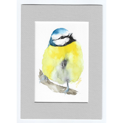 Modraszka - akwarela z passe portout, Magdalena Malik, obrazy akwarela