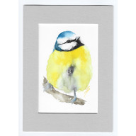 MODRASZKA - AKWARELA Z PASSE PORTOUT