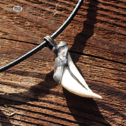 Moje MW - biżuteria męska - Kieł dzika 07 foto #2