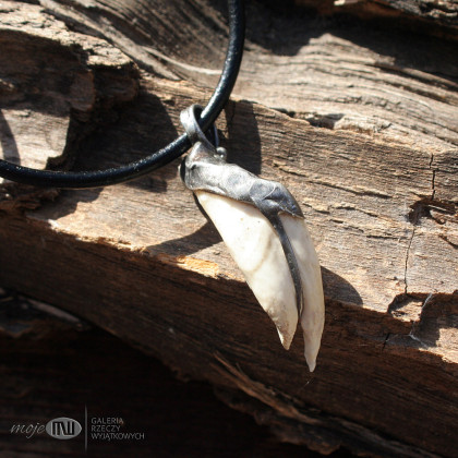 Moje MW - biżuteria męska - Kieł dzika 07 foto #3