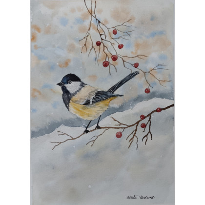 Beata Rudecka - obrazy akwarela - Akwarela Akwarelka Obraz pt: Sikorka foto #3