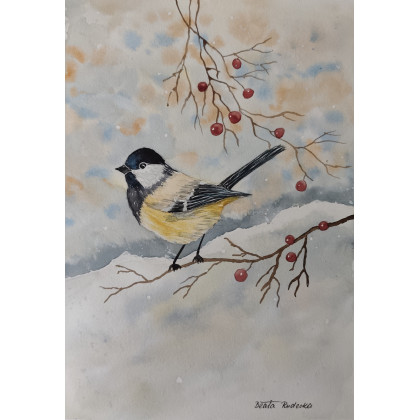 Beata Rudecka - obrazy akwarela - Akwarela Akwarelka Obraz pt: Sikorka foto #4