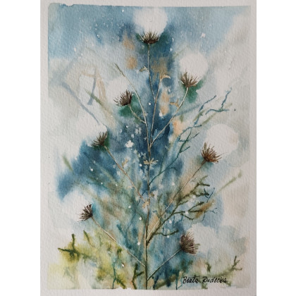 Beata Rudecka - obrazy akwarela - Akwarela Akwarelka Obraz pt: Ostrożeń Polny foto #1