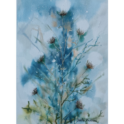 Beata Rudecka - obrazy akwarela - Akwarela Akwarelka Obraz pt: Ostrożeń Polny foto #3